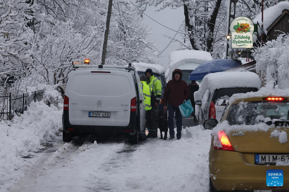 heavy snow fall in Budapest, Hungary-__1702035700.jpg